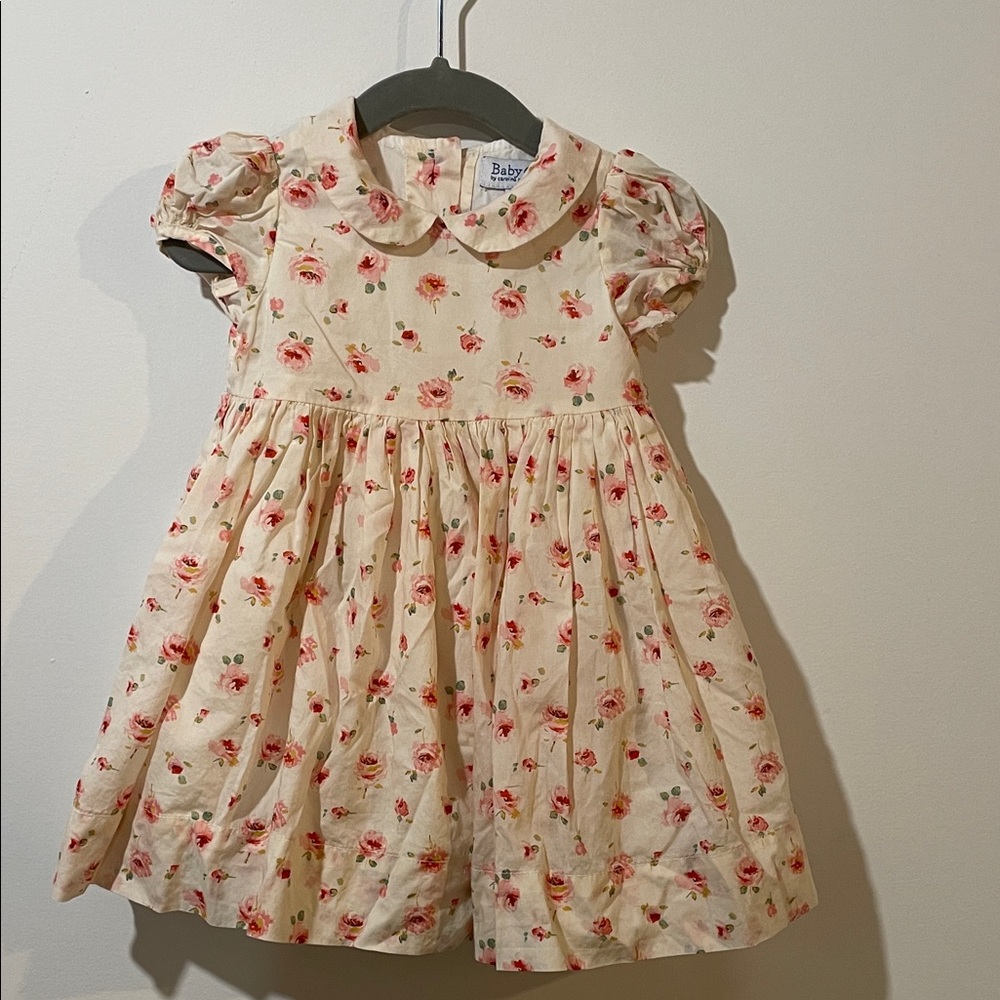 Baby CZ Light Pink Dress with Red Floral Design - 12-18 Months